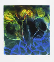 Monotype image - Pond 20